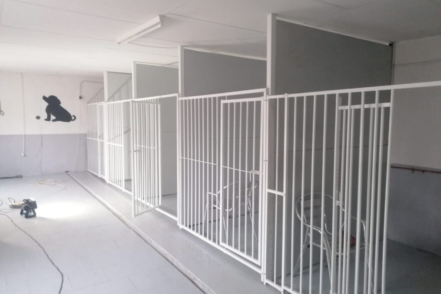 Residencia canina en Aranjuez con amplias instalaciones y zonas verdes