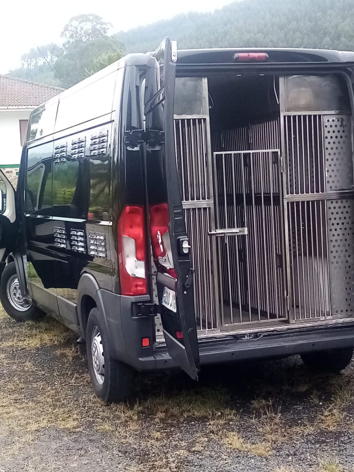 Servicio de transporte de mascotas a domicilio para residencia canina